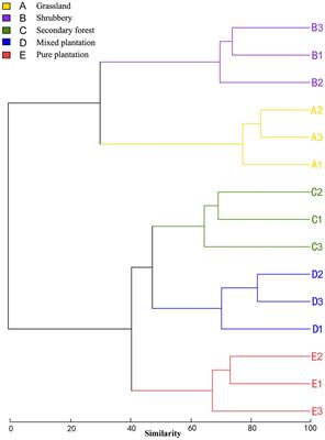 Soil Bacterial Community Structure and Co-occurrence Pattern during Vegetation Restoration in Karst Rocky Desertification Area